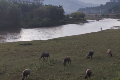 昆明到普洱多少公里，昆明到普洱多少公里